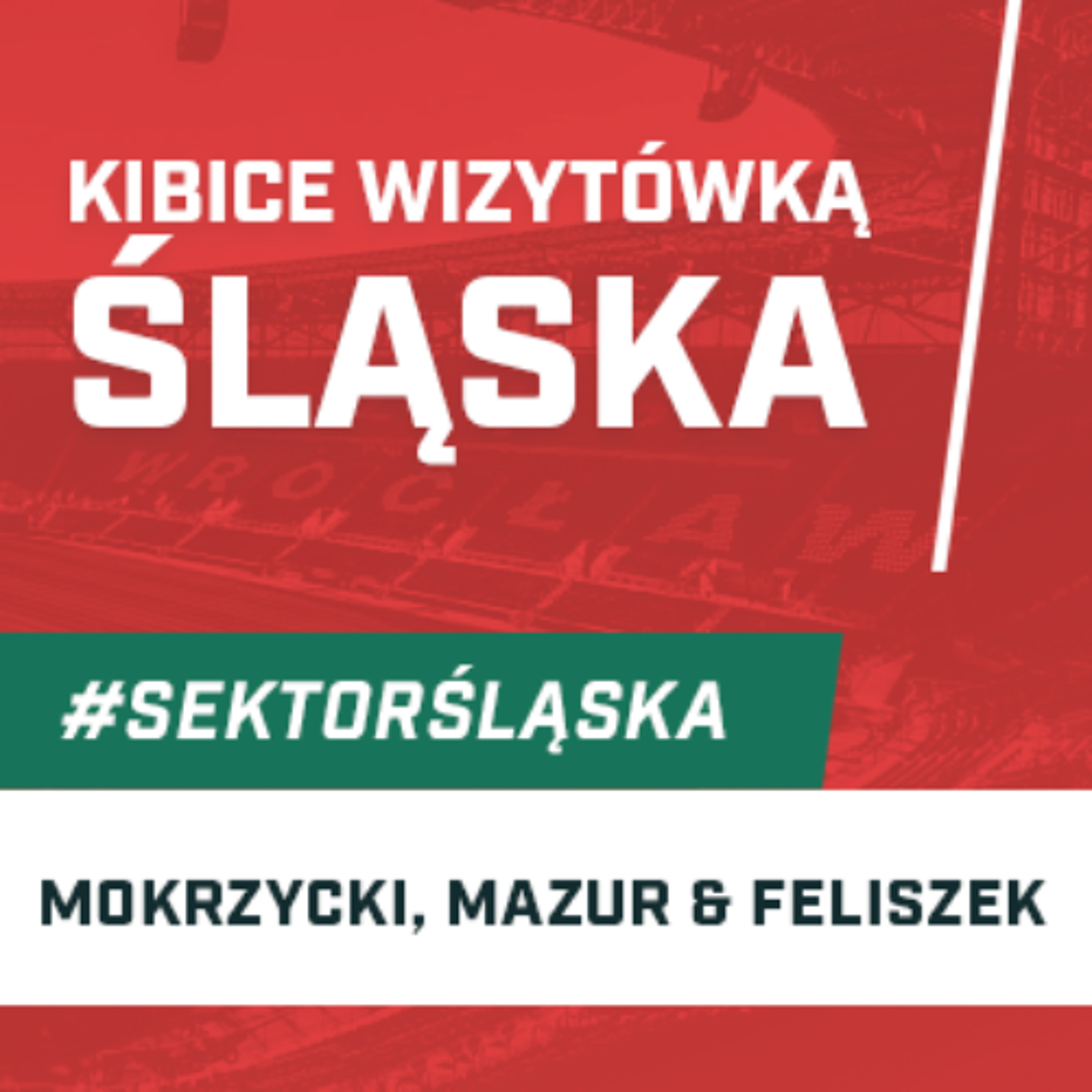 Śląsknet