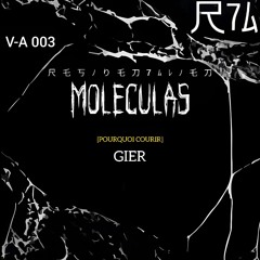 GIER-POURQUOI COURIR [R7A041]