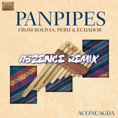 Pablo Cárcamo - Lamento Del Indio (Abzence 160 BPM Remix)