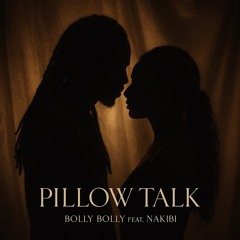 Pillow talk (F1 mix)