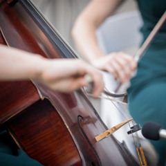 A Thousand Years - Live String Trio - Violin, Cello, + Guitar