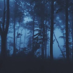 Thomas LaRosa ‐ Perfume (sped up)