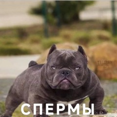 Рокстар Мувы Мп3