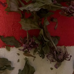 Trockene Blume + Bild pt.1.m4a