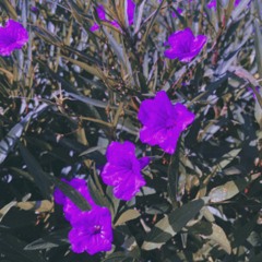 Changes ft. XXXTentacion