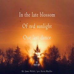 halF blossoM [naviarhaiku444]