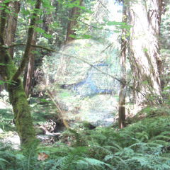 Stellar Nursery Ryme