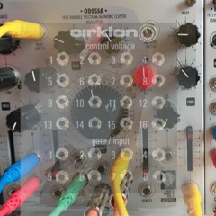 A Flock Of Black Swans