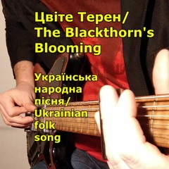 VadioRadio - Цвіте Терен / The Blacthorn's Blooming (Ukrainian folk song)