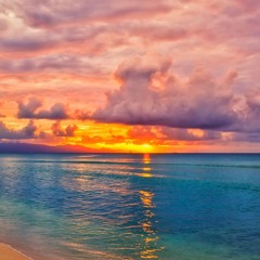 Nick Roshdieh Lists The Best Beaches In California