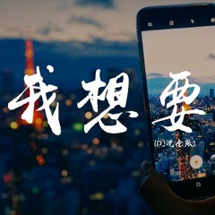 盖君炎 - 我想要 (DJ沈念版) 『我想要天上的月亮 和地上的霜 』【動態歌詞/pīn yīn gē cí】