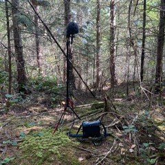 Mt - Norman - Pender Aug - 2-2023 - 1000