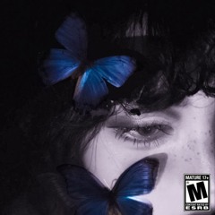 BUTTERFLYDOORS/BLU (prod. trixs)