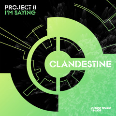 Project 8 - I'm Saying [FSOE Clandestine]