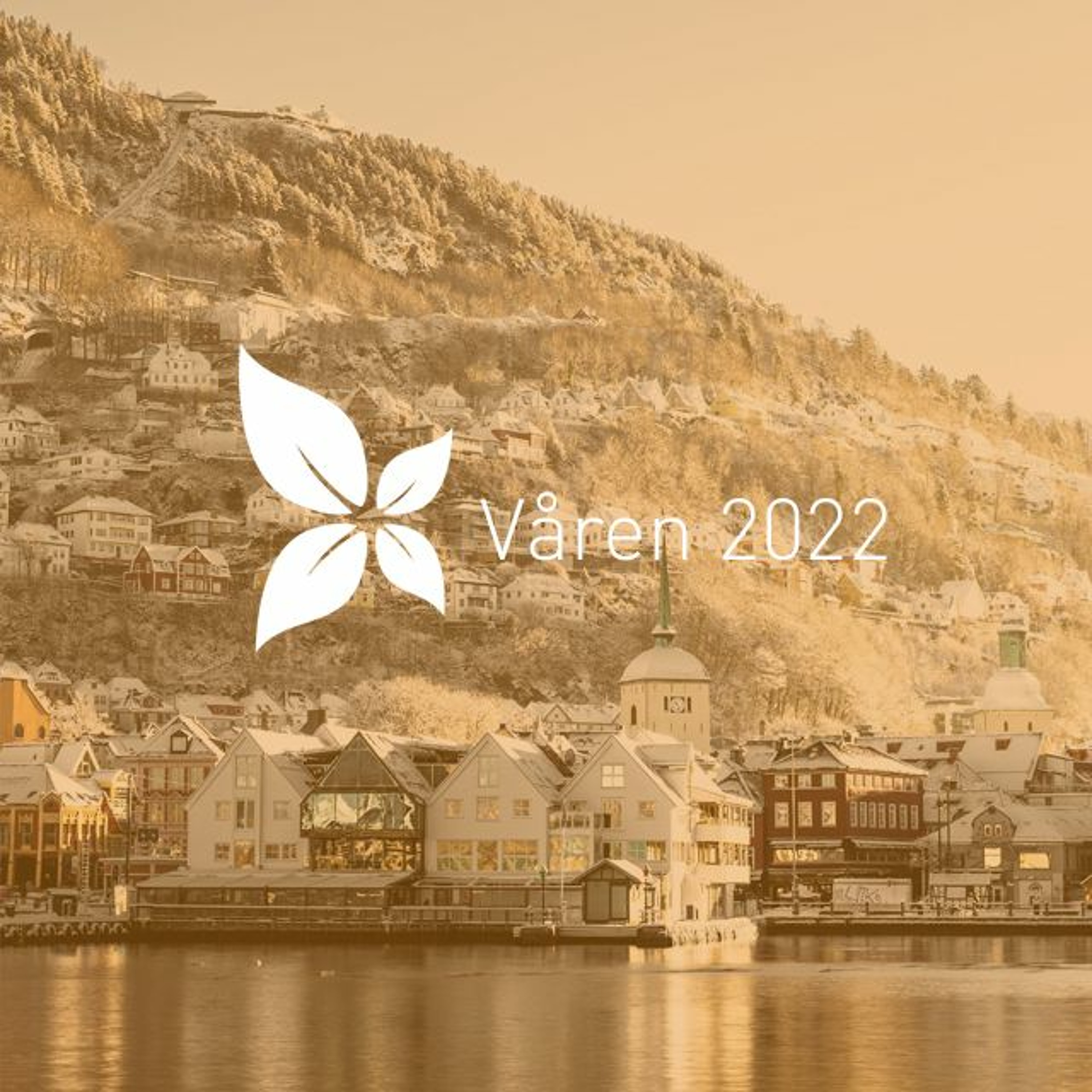 Salem Bergen