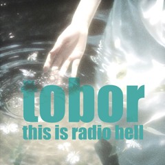 Techno - this is radio hell (Tobor)