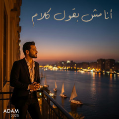 أنا مش بقول كلام