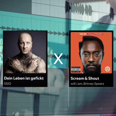 Dein Leben ist gefi***  - ( SSIO) x Scream & Shout - (will.i.am)