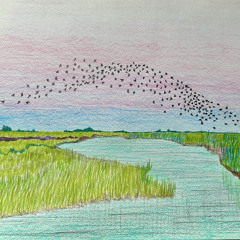 Parallel Course With the Sky