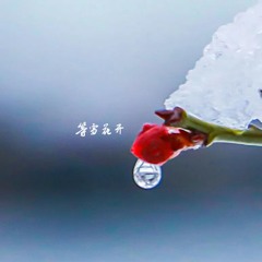 等雪花开