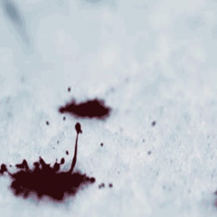 COLD HVNSN - ://???.dthcm