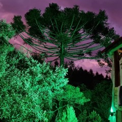 Jurema Mãe de Todos - Setsô Iixitxwá Fulni-ô e Povo da Montanha(MP3_320K).mp3