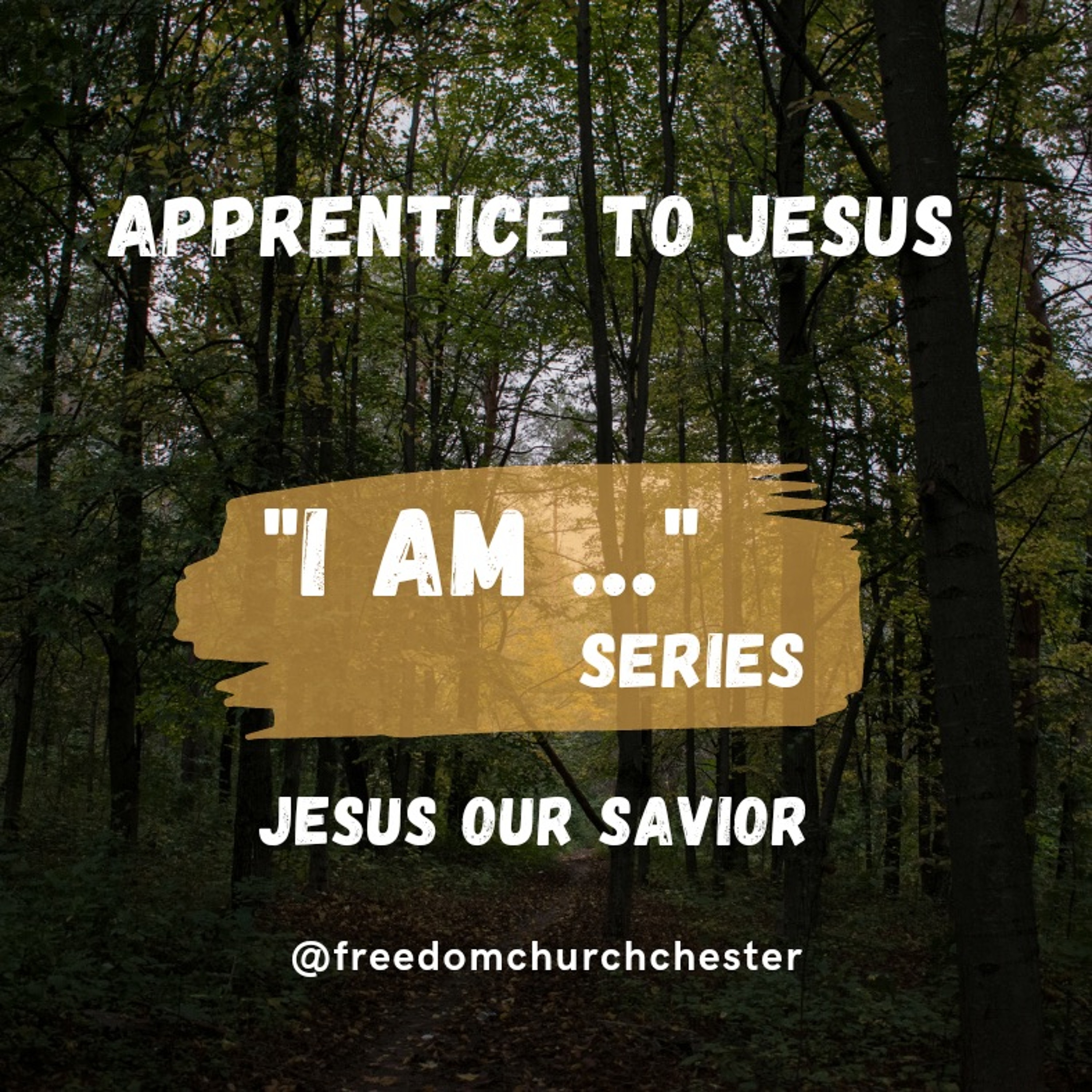 Isaiah 53:1-12 - Apprentice to Jesus: part 5 (preacher Khumbulani Sibanda) episode artwork