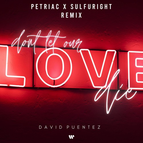David Puentez - Dont Let Our Love Die (Petriac & Sulfuright Remix)