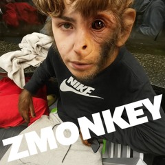 Zmonkey