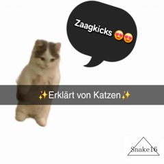 ZAAGKICKS (ERKLÄRT VON KATZEN)