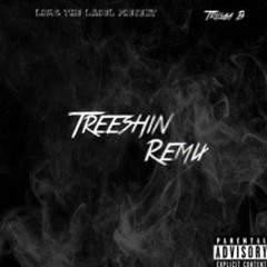 TRILLAA B - TREESHIN RMX