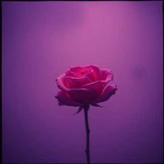 You are Somewhere ✦9 | Electronic Rock - FV