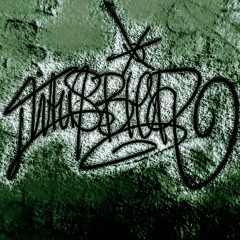 T.Bier - Die Melodie, in der ich spiele // (alter Schinken)