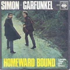 Homeward Bound-My Cover