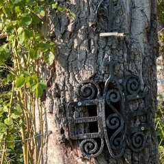 massi - Treestump
