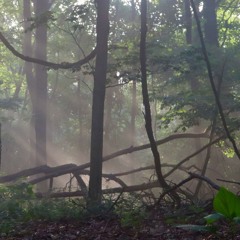Exploring Emptiness And Compassion