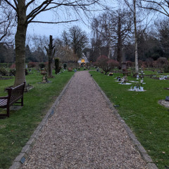 Le Rêve du Jardin