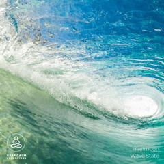 Wave State