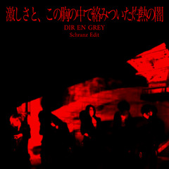 激しさと、この胸の中で絡み付いた灼熱の闇 (Schranz Edit)