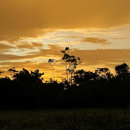 Chihiro (gravagerz House Remix)