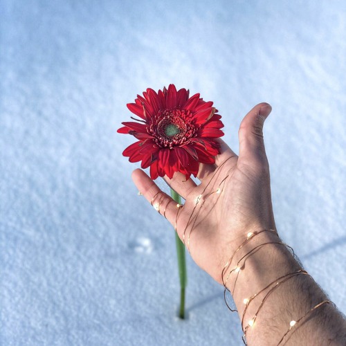 Bloom (Alex Bochel Remix)