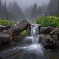 How Water Flows Through The Landscape