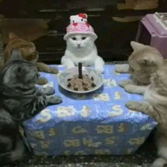 Dogadamy Się Później (17yo)