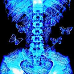 [Free Beat] Butterflies