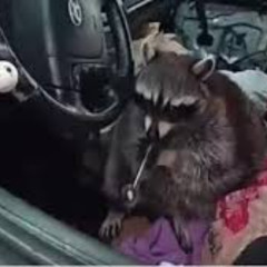 Sweaty Meth Sacc mixx