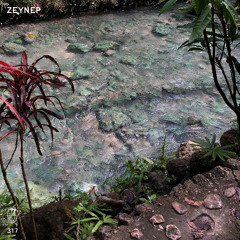MDC.317 Zeynep