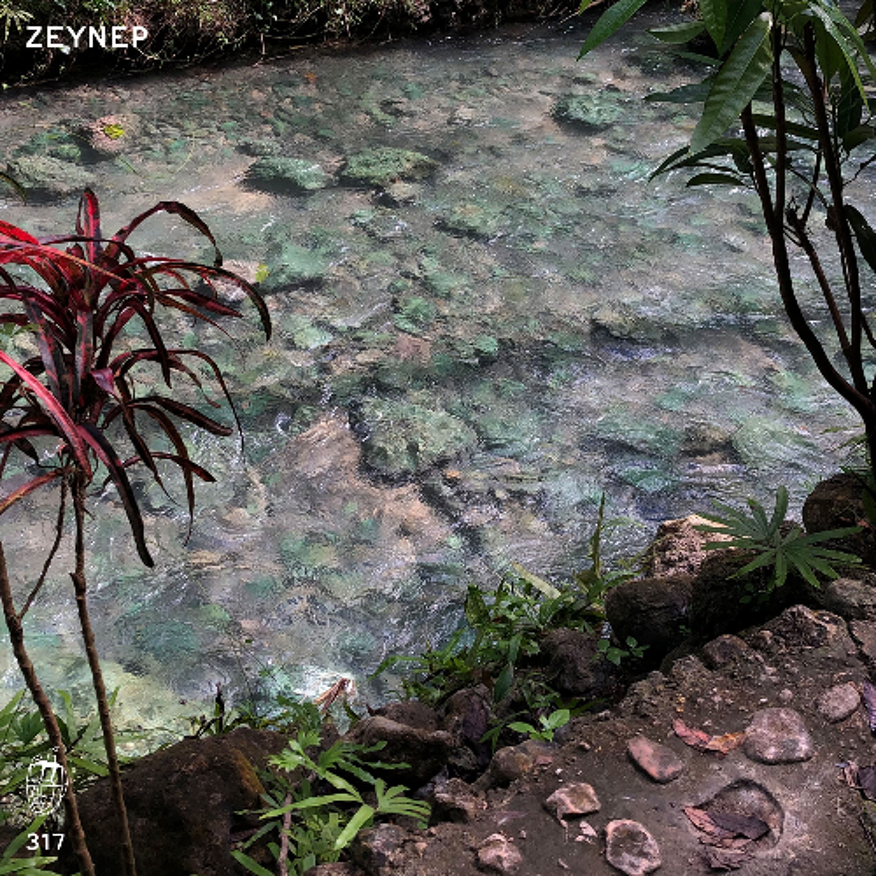 MDC.317 Zeynep