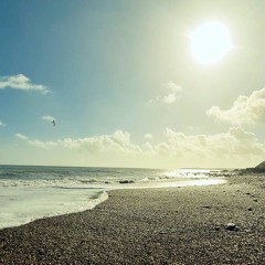 Some Sea Sounds