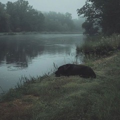 пьяный, тупой