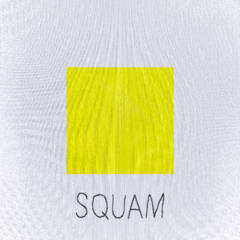 CARADON - SQUAM